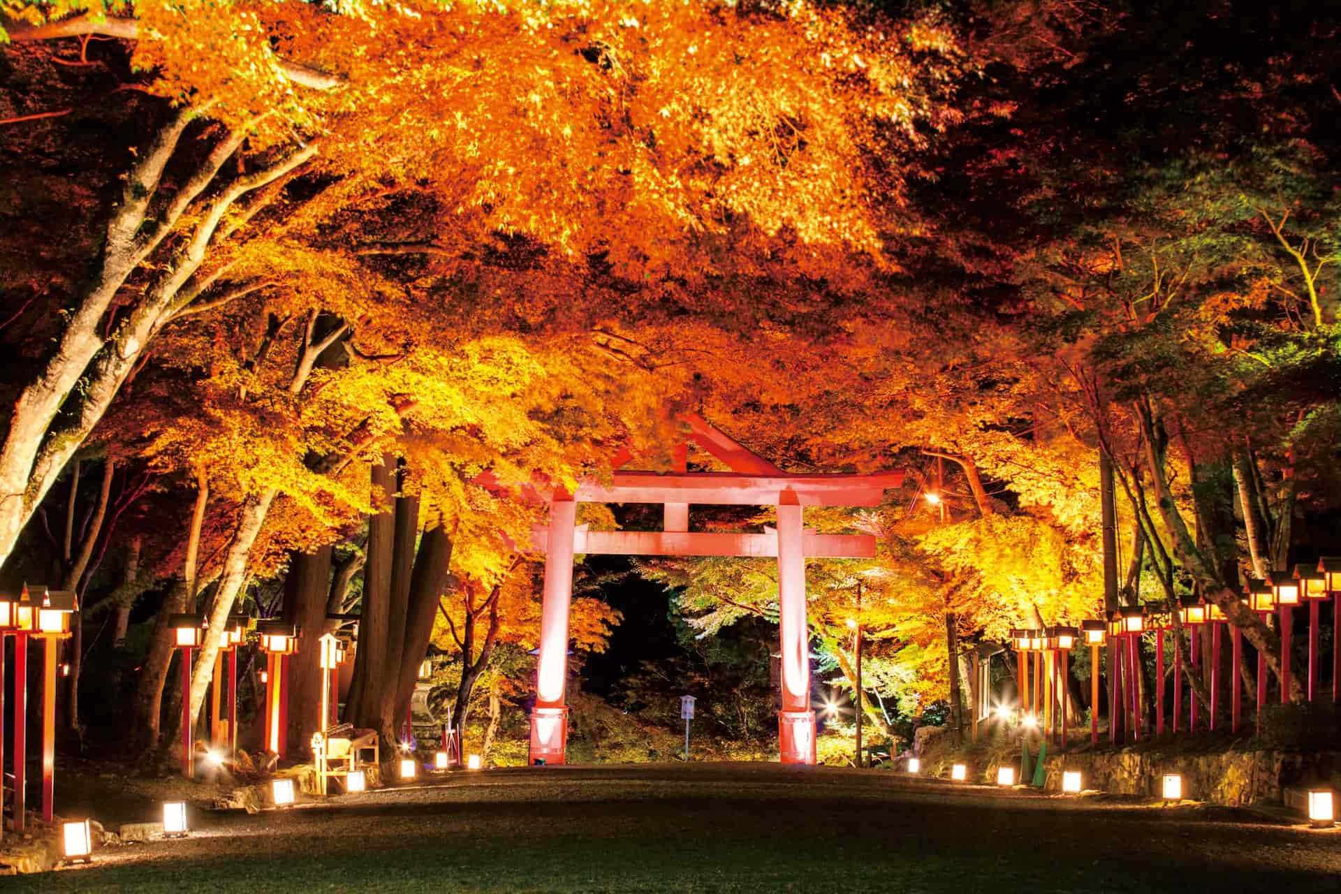 写真集　遊郭　紅燈の街区 紅子 | Kastori Bookstore